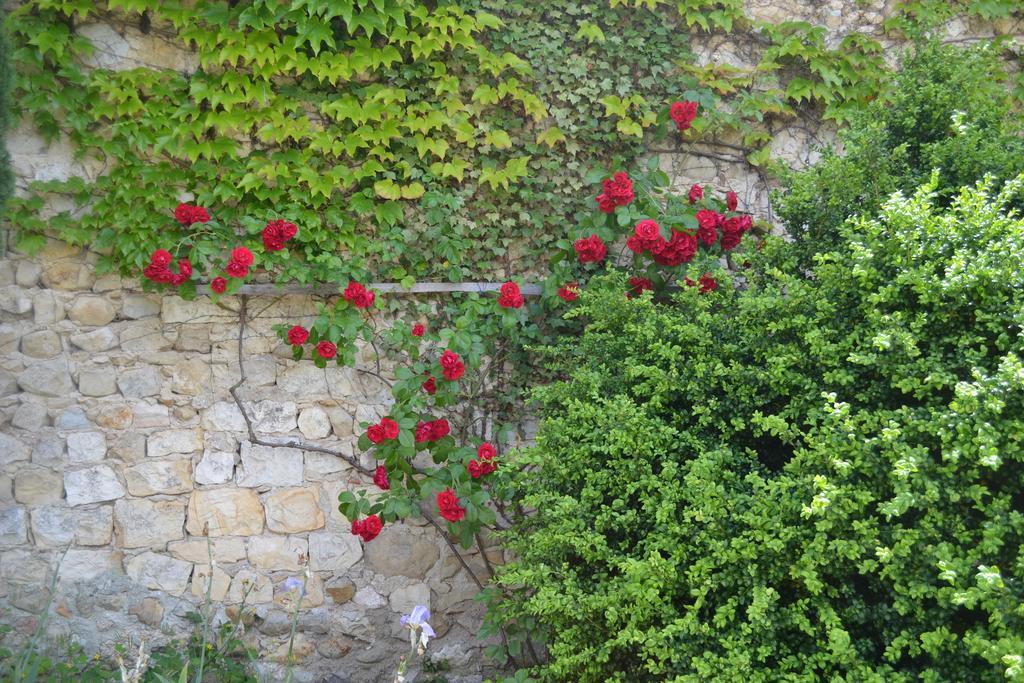 Maison D'Hotes Les Fougeres Mirmande Εξωτερικό φωτογραφία